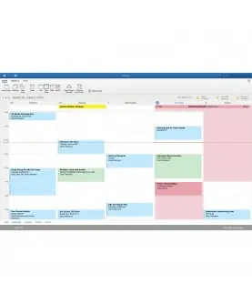 Microsoft Office 2021 Home and Business für Windows Deutsch/Multilingual (T5D-03485)