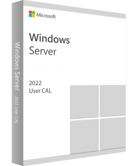 Microsoft Windows Server 2022 Standard/Datacenter Edition 5 User CAL (R18-06468)