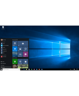 Microsoft Windows 10 Professional inkl. Upgrade von Windows 10 Home Deutsch/Multilingual