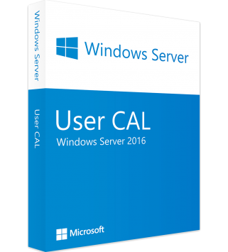 Microsoft Windows Server 2016 Standard/Datacenter Edition 1 User CAL (OEM)