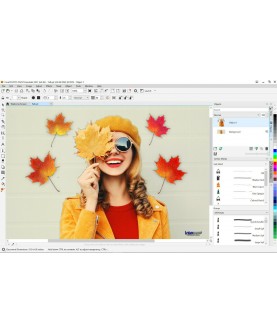 Corel CorelDRAW Essentials 2021 für Windows Deutsch/Multilingual