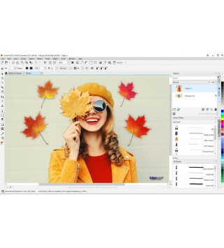 Corel CorelDRAW Essentials 2021 für Windows Deutsch/Multilingual